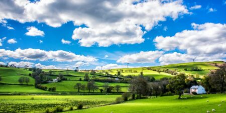 Rural vs Urban Estate Management: Unique Challenges in the UK