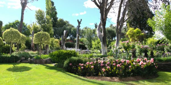 How to Design a Garden That Matches Your Lifestyle