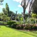 How to Design a Garden That Matches Your Lifestyle